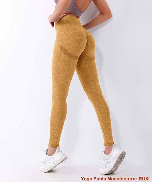 Nirlon Comfortable Stretch Yoga Pants Ruxi ng890