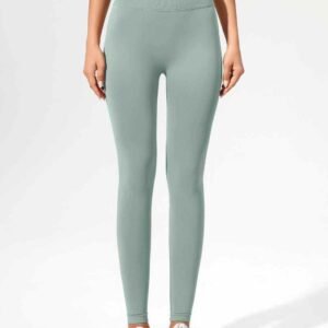 Seamless Yoga Pants Set for Women Ruxi ng388